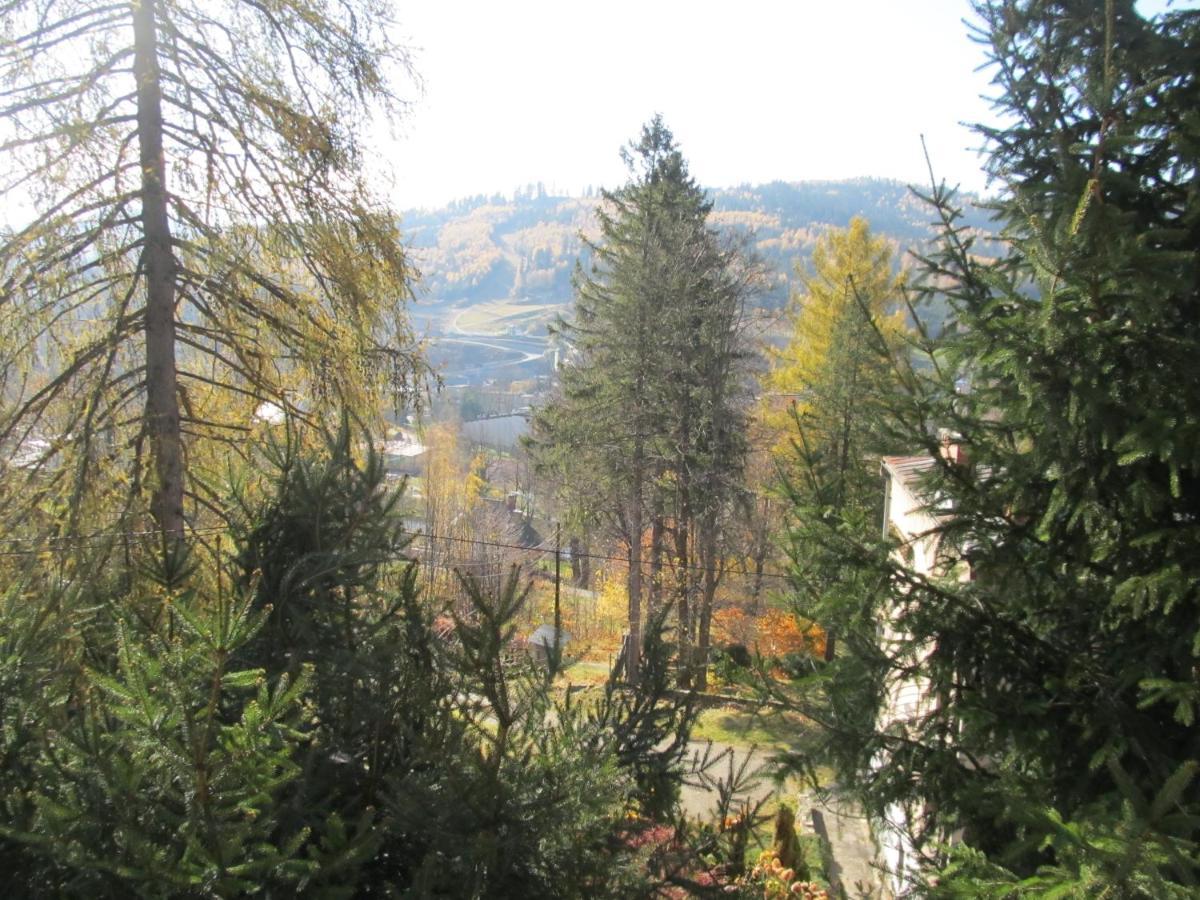 Hotel Czarna Owca Visla Exteriér fotografie